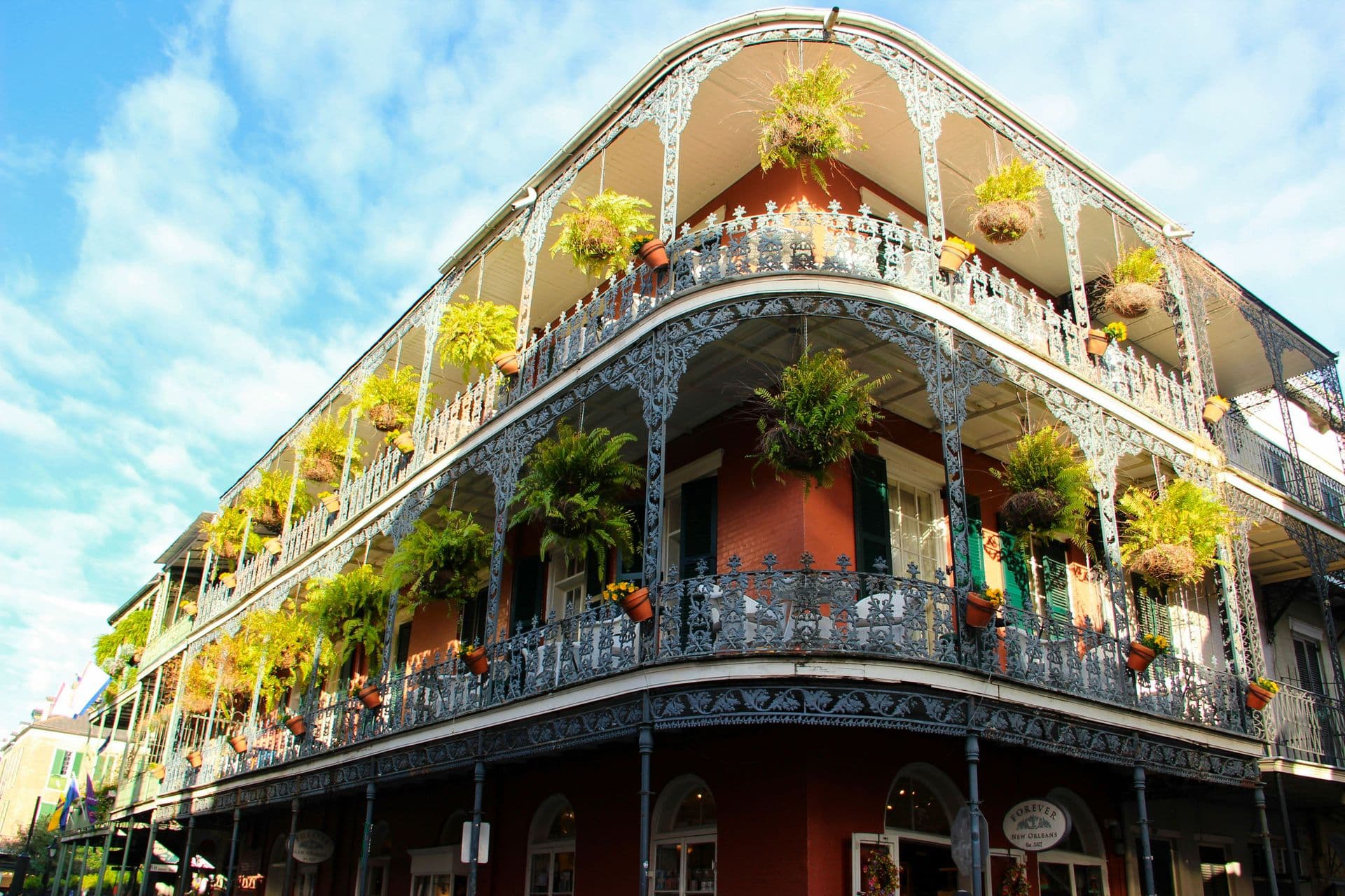 new orleans_header