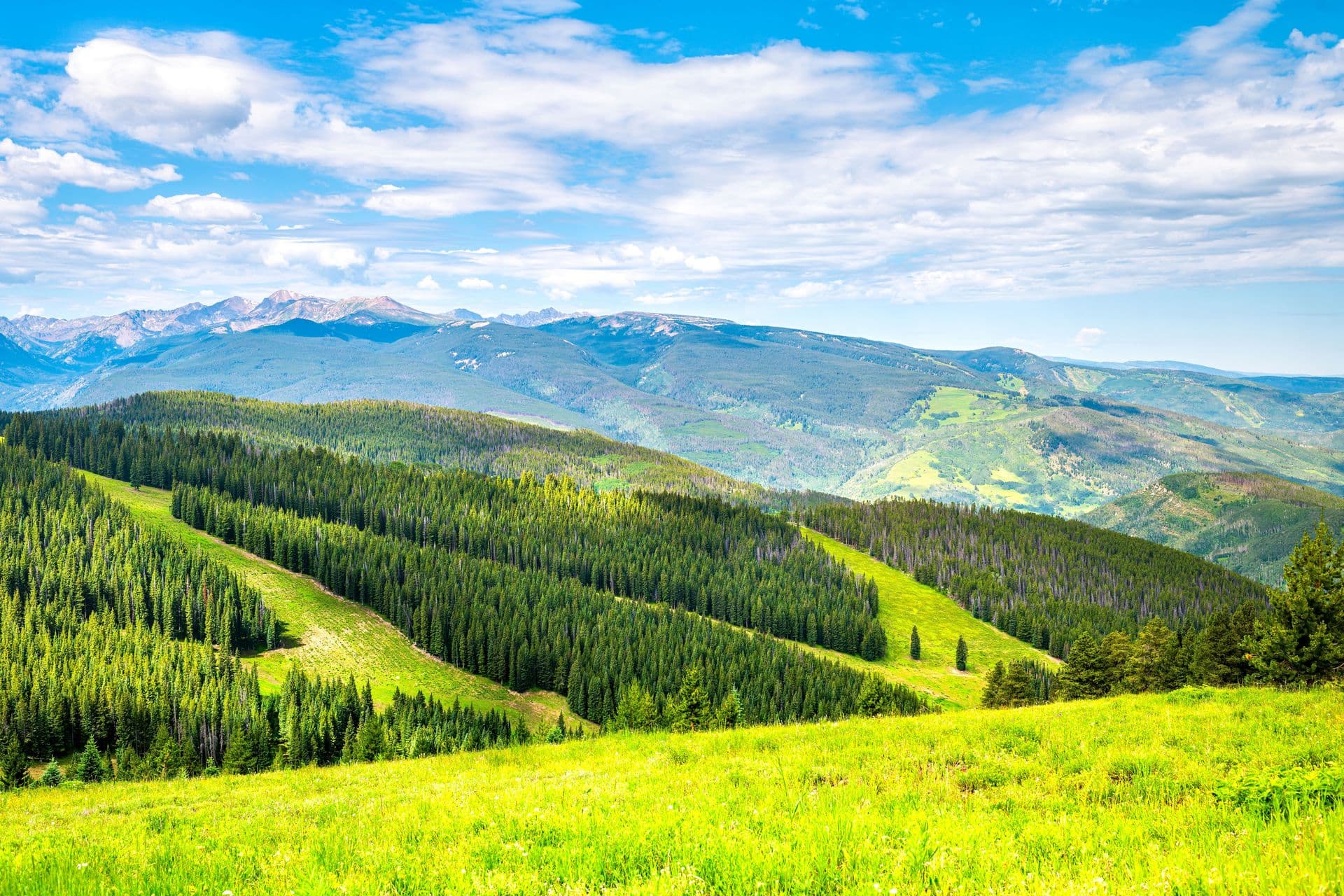 vail_header