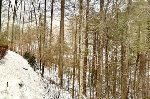 Still Lake Getaway - Image 35