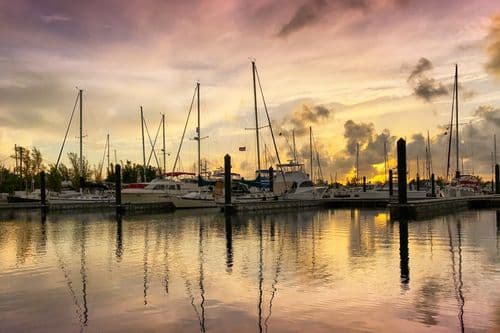 Tahiti Suite - Image 39