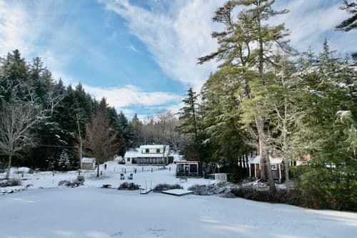 Forest Lake Oasis - Image 3