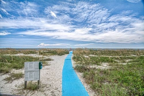 Golfers Dream - Image 121
