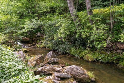 Riverside Retreat - Image 49