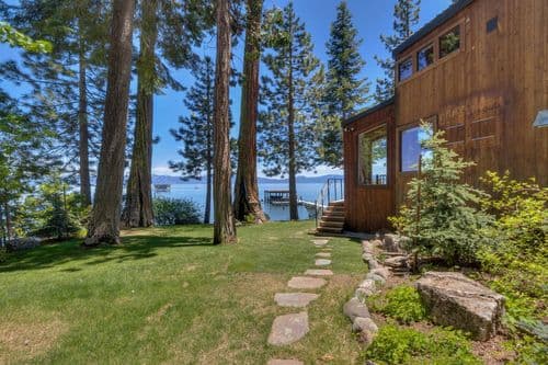 Cathedral Pines - Image 2