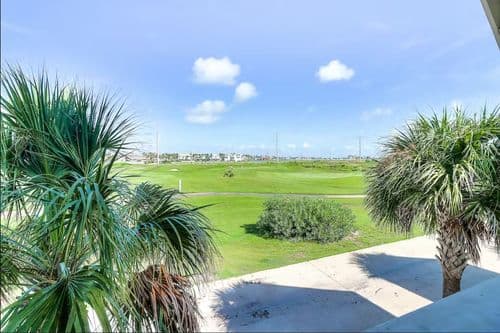 Top of the Shoreline - Image 3