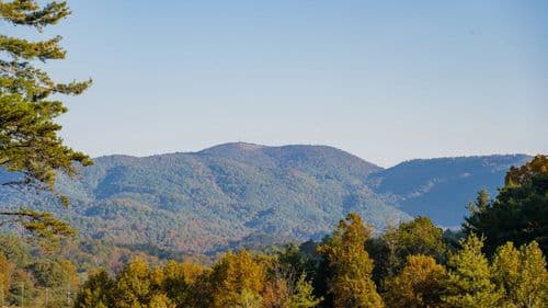 Blue Mountain Cottage - Image 30