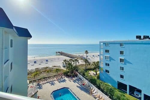 Beach Palm - Image 2