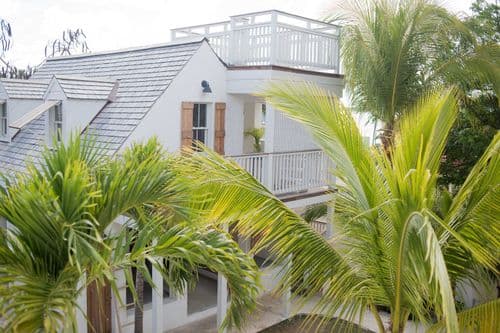 Conch Shell Harbour Island - Image 3
