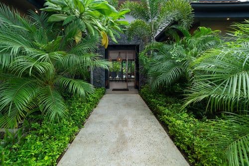 Casa de Los Monos - Image 3