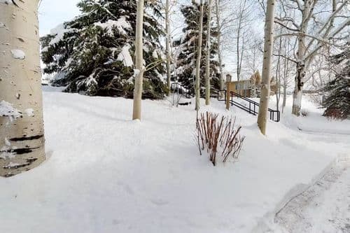 Snowcreek Delight - Image 24