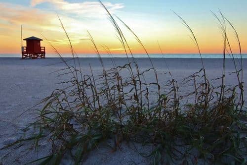 Sand Key Residence - Image 27