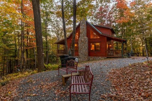 Bearadise at Blue Ridge - Image 2