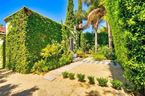 Melrose Oasis - Image 3