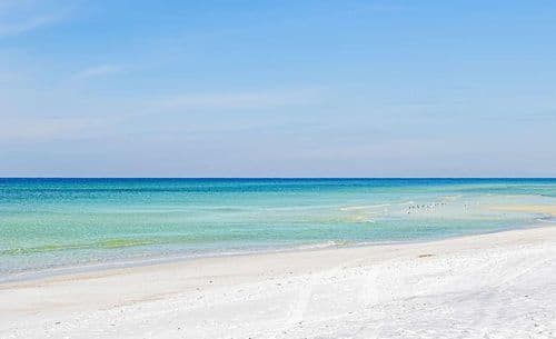 Beach Life - Image 65
