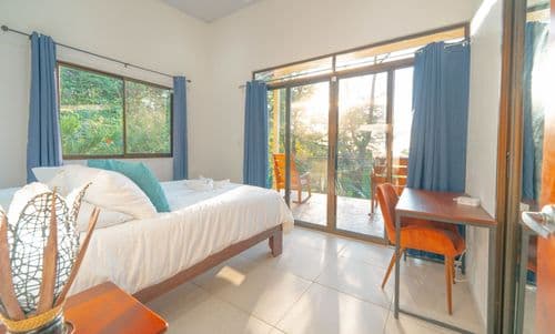 Ballena Bliss - Image 3