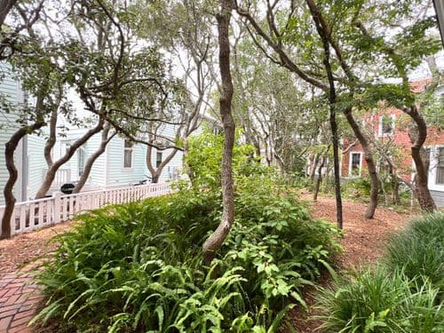 Eversong Cottage - Image 3