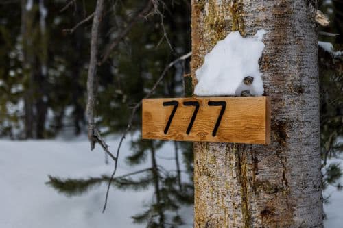 Lost Trails - Image 130