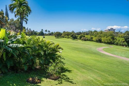 Kaanapali Hini Home - Image 73