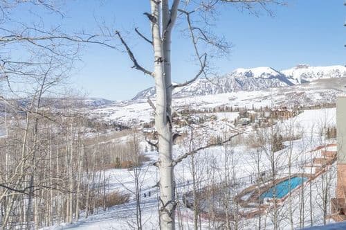 Emerald Elk at Village Creek - Image 21