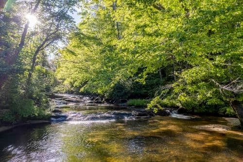 Whispering Creek - Image 3