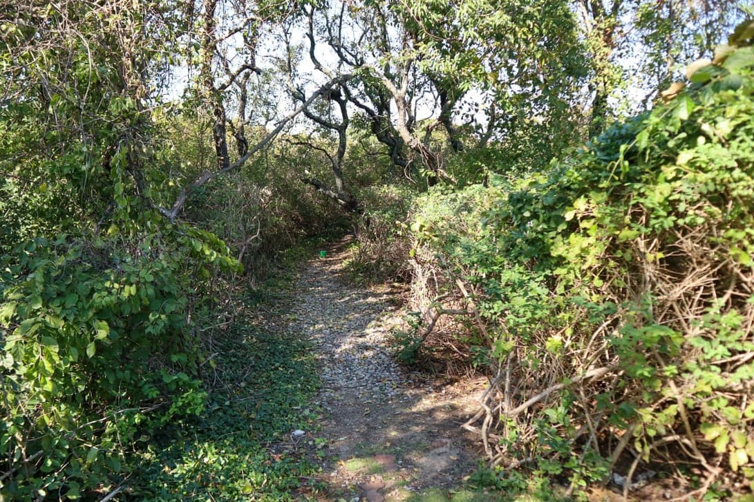 Bayside Dunes - Image 14