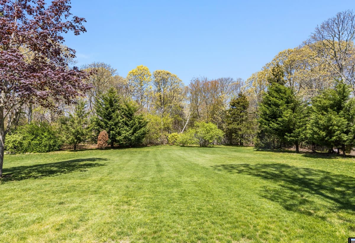 Take a Minott - Image 25