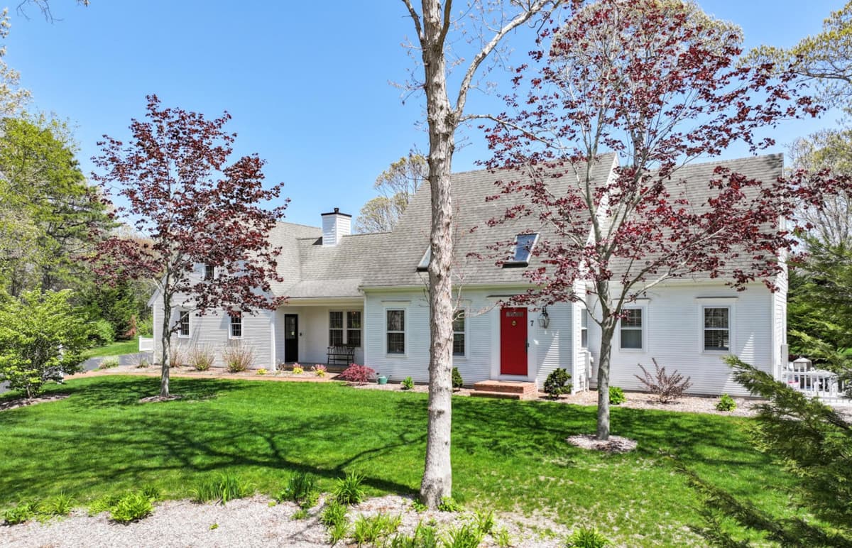 Take a Minott - Image 23