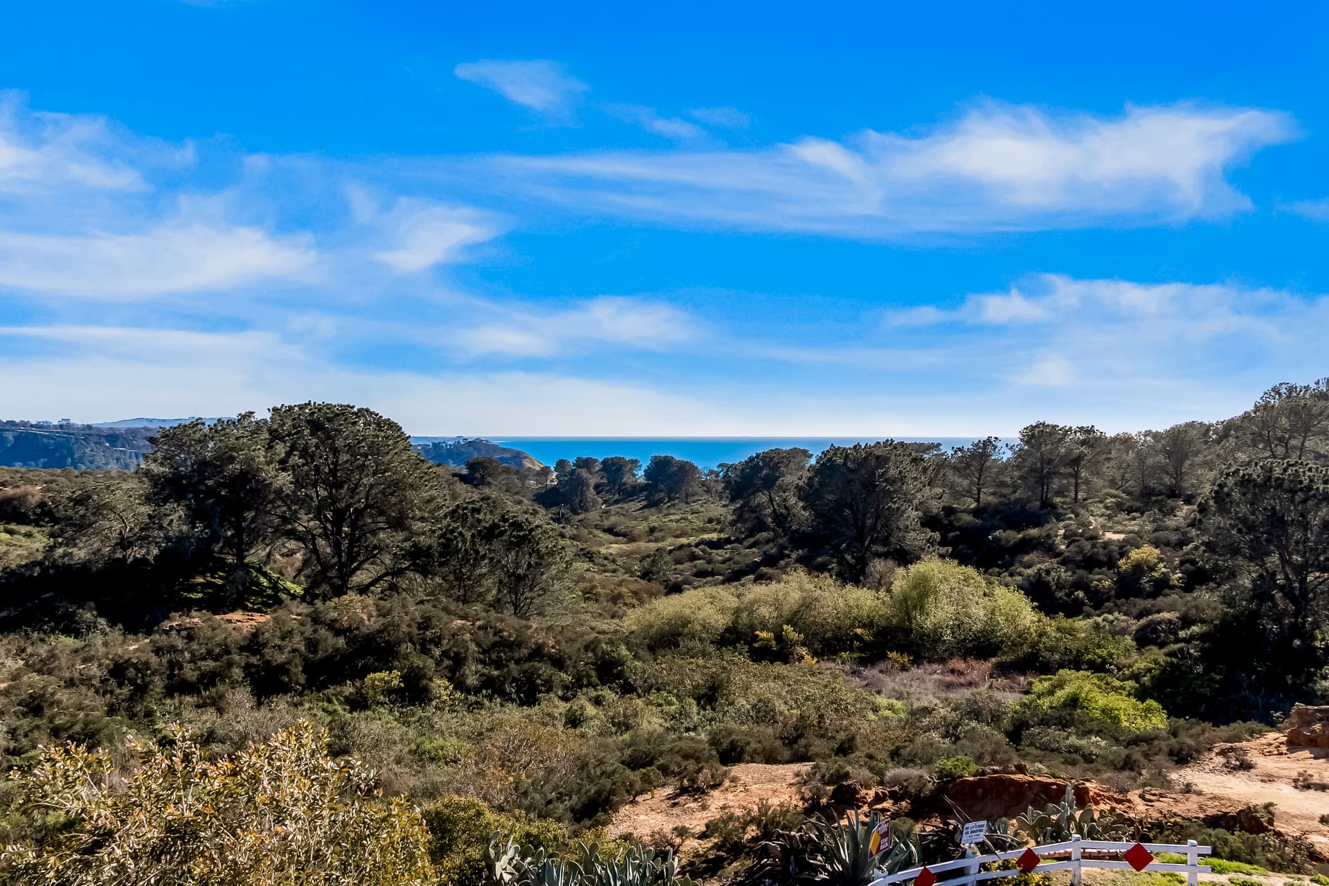 Del Mar Dreams - Image 42