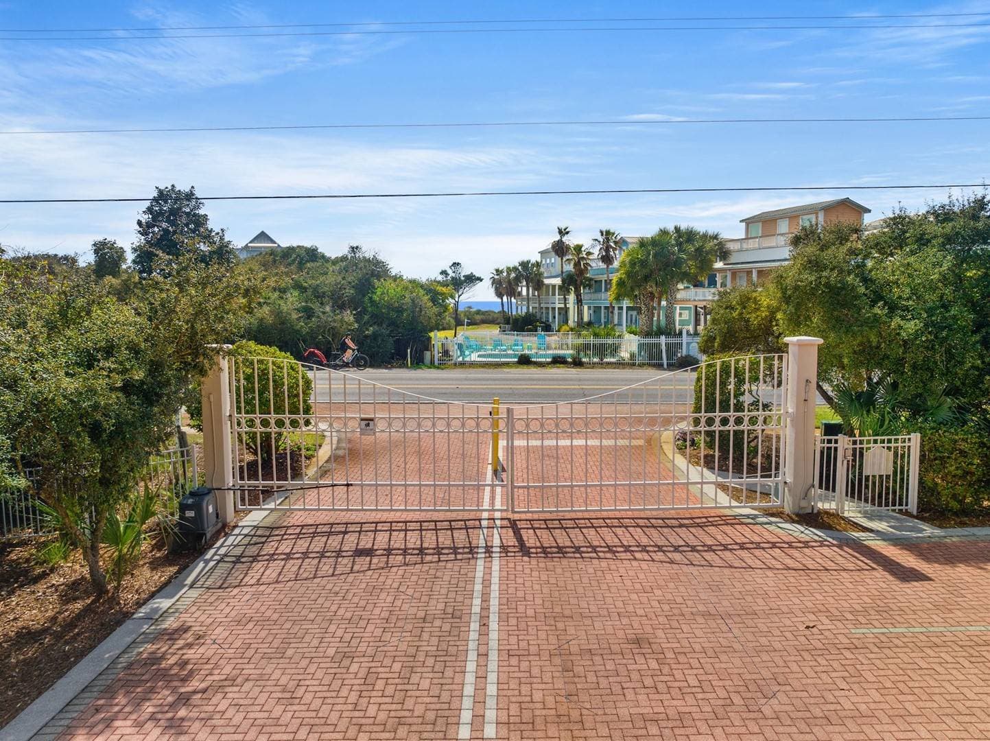 Sandy Buns - Image 3