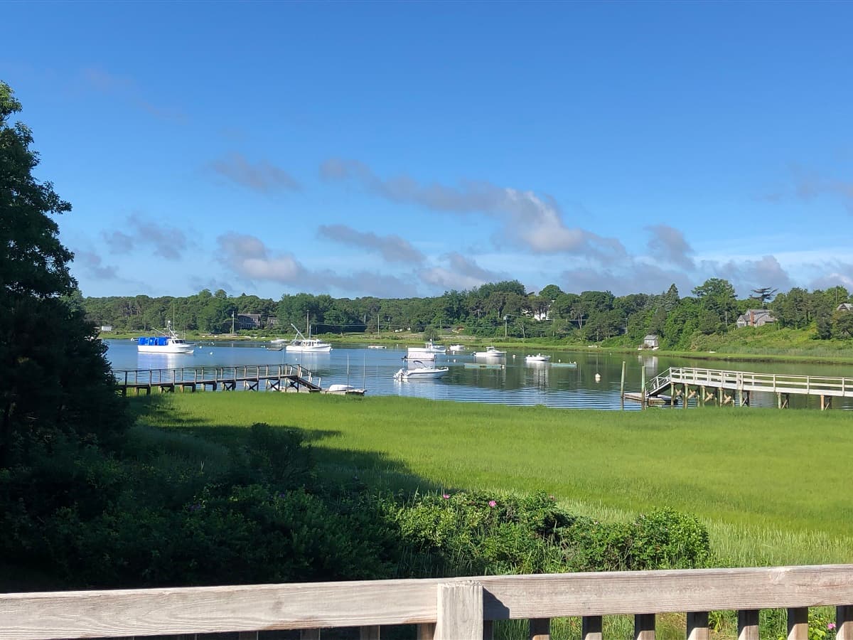 Ryder's Cove Gem  - Image 21