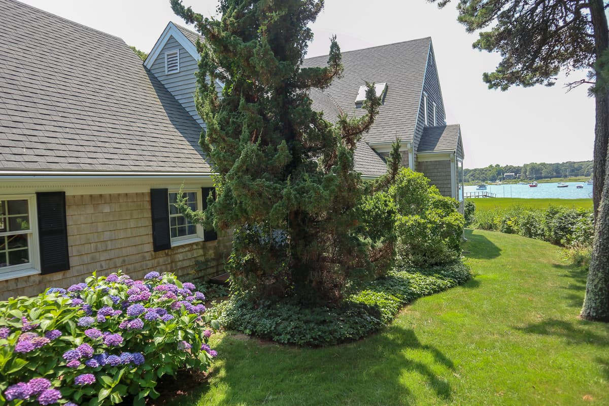 Ryder's Cove Gem  - Image 27