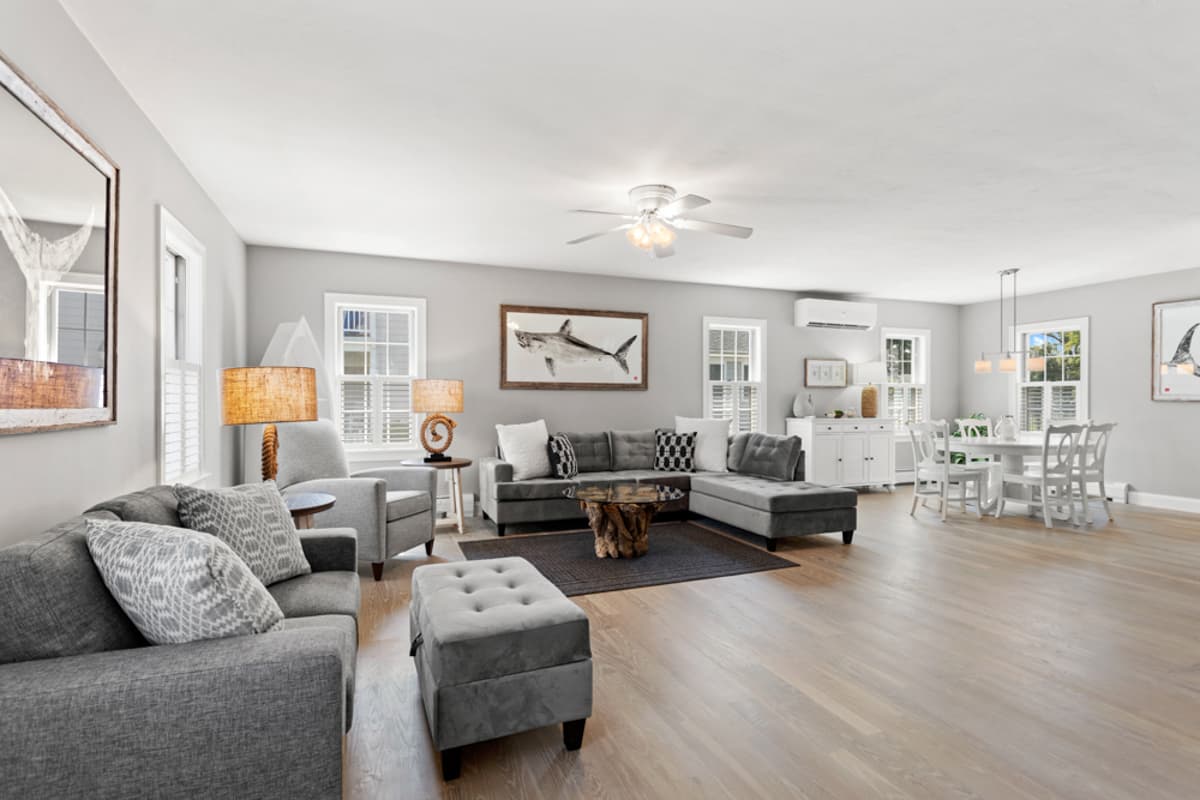 Dennis Dreams - Image 4