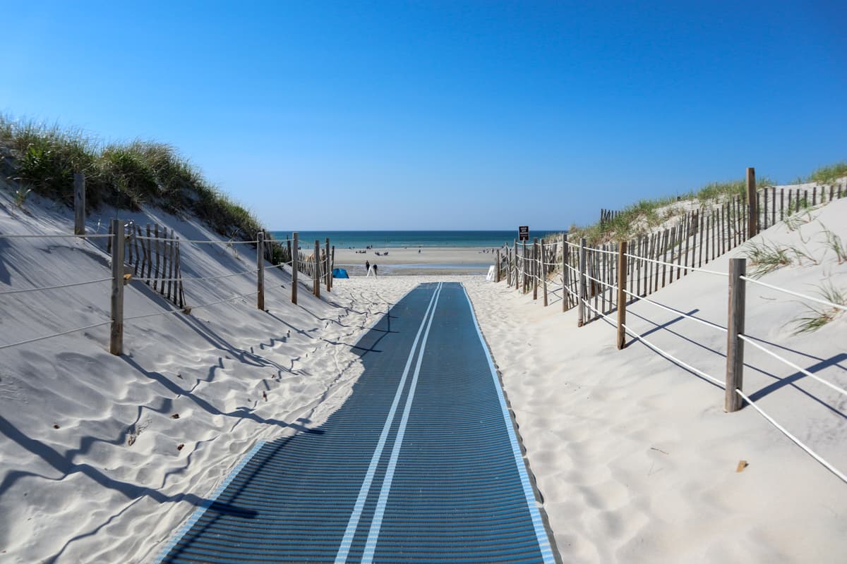 Dennis Dreams - Image 31