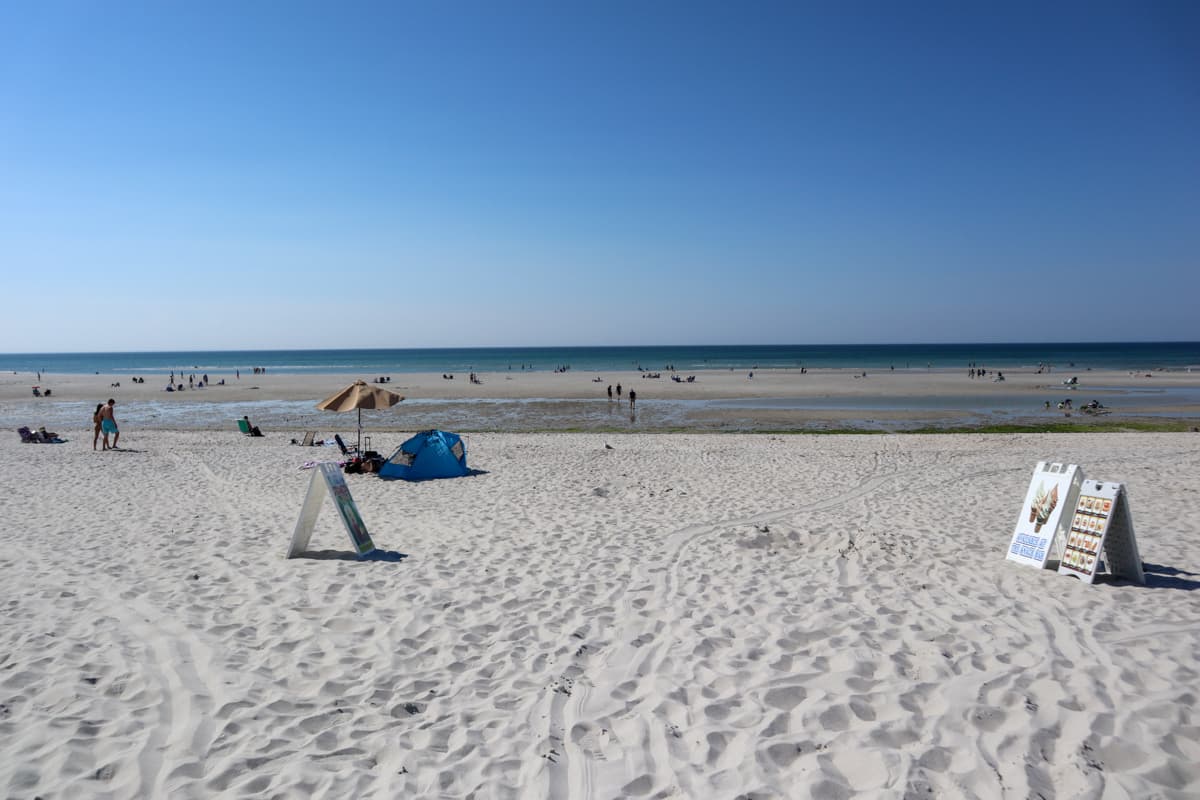 Dennis Dreams - Image 32