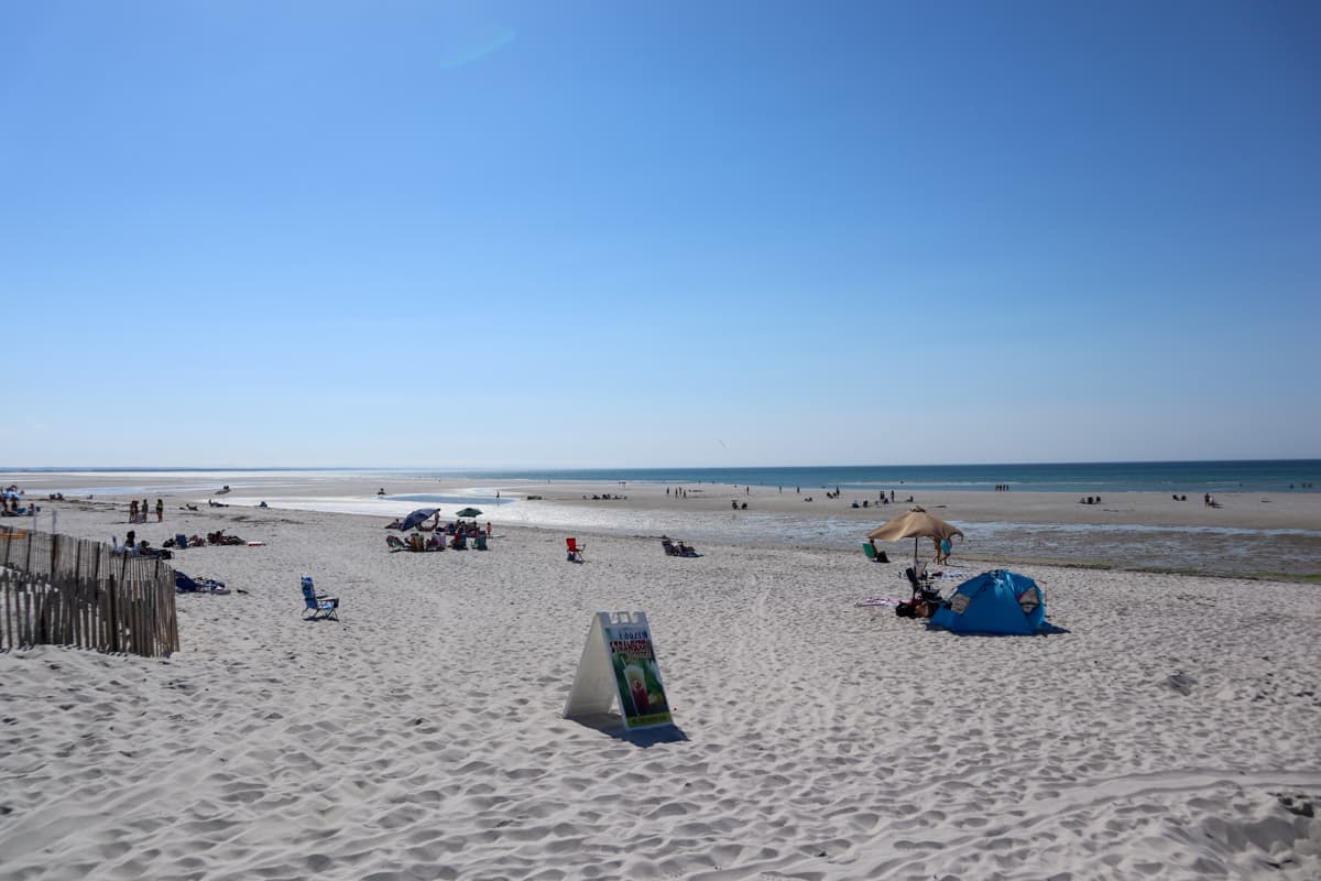 Dennis Dreams - Image 34