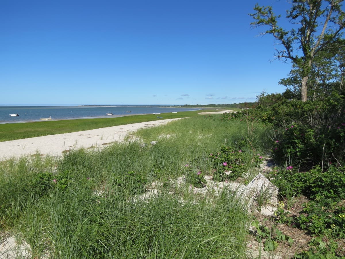 Harvey House - Image 2