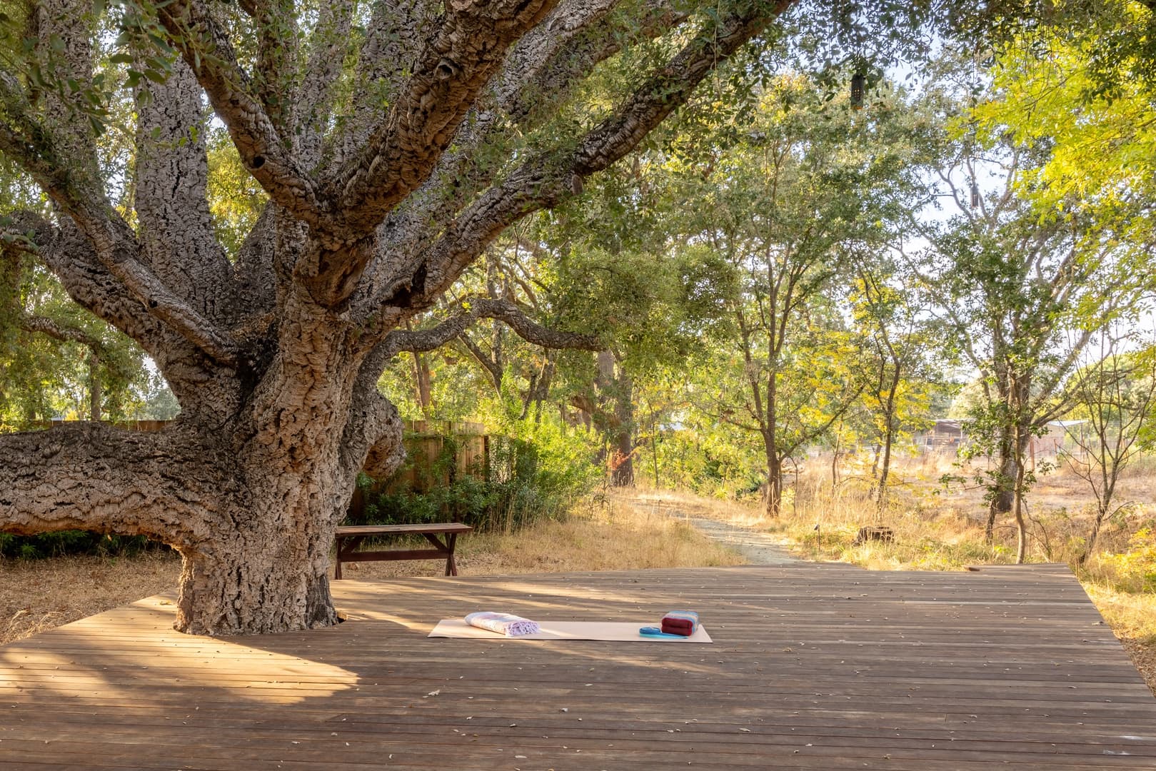 Fryer Creek Agriturismo - Image 53