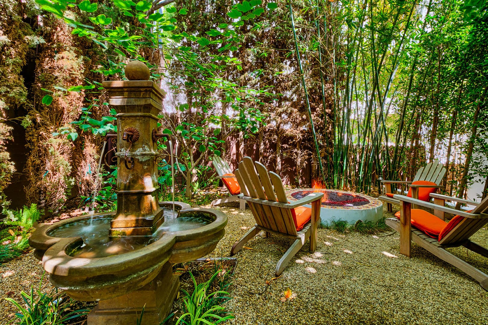 Olive Branch - Image 33