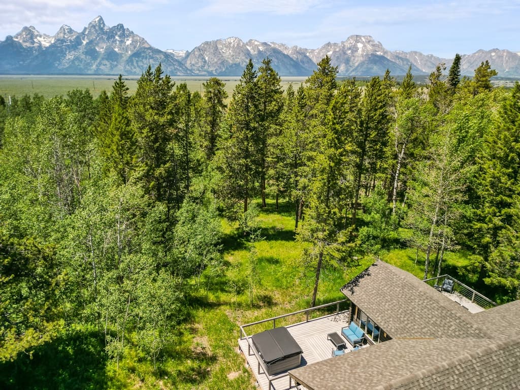 Seasonal Therapy - Image 3