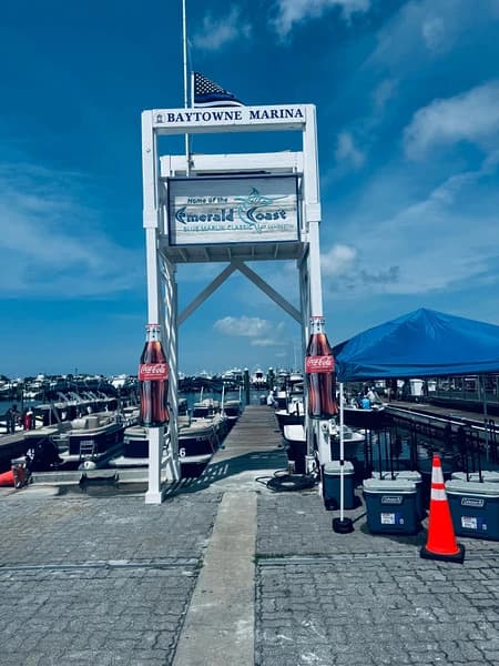 Coral Starfish - Image 38