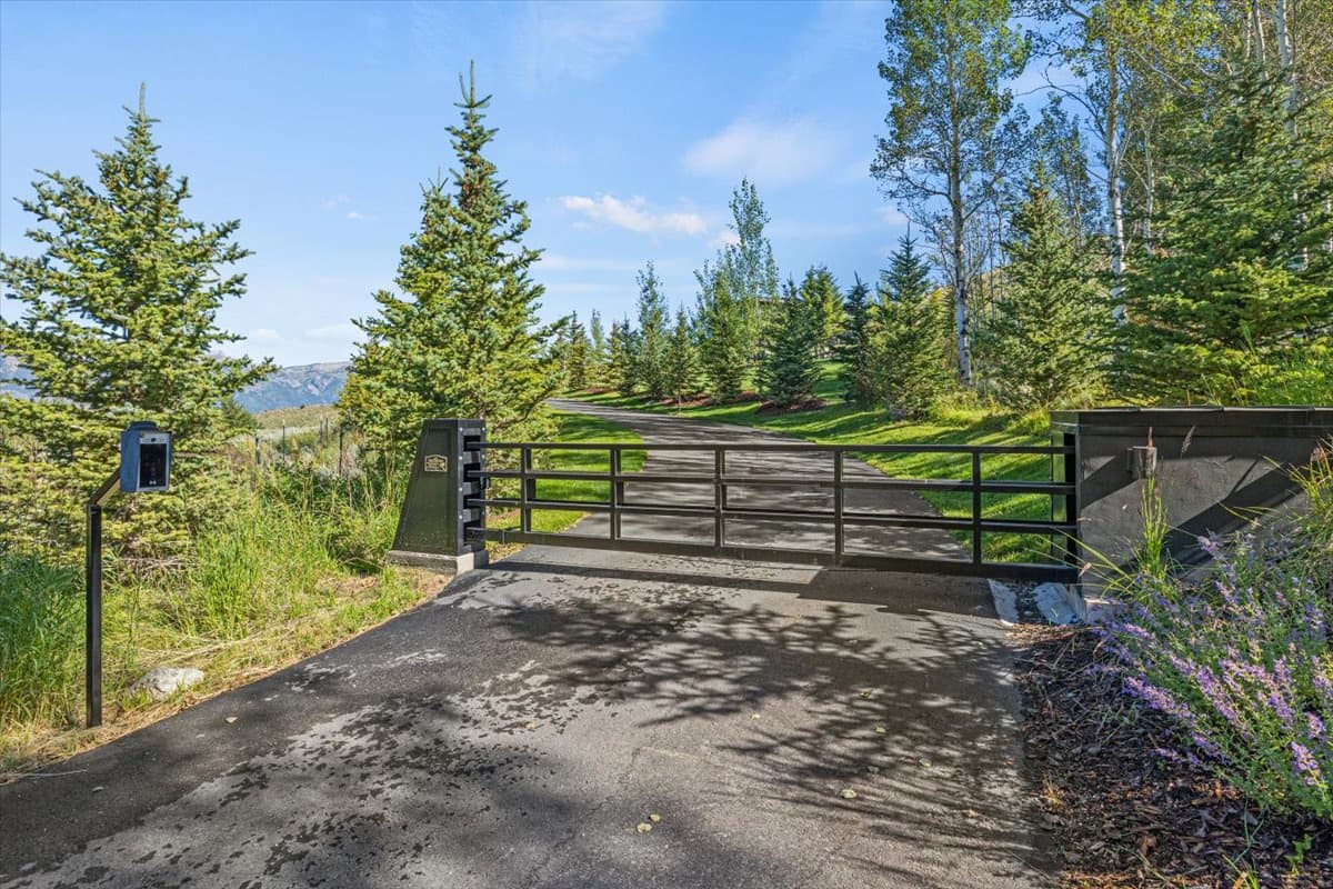 Panda Ranch - Image 89