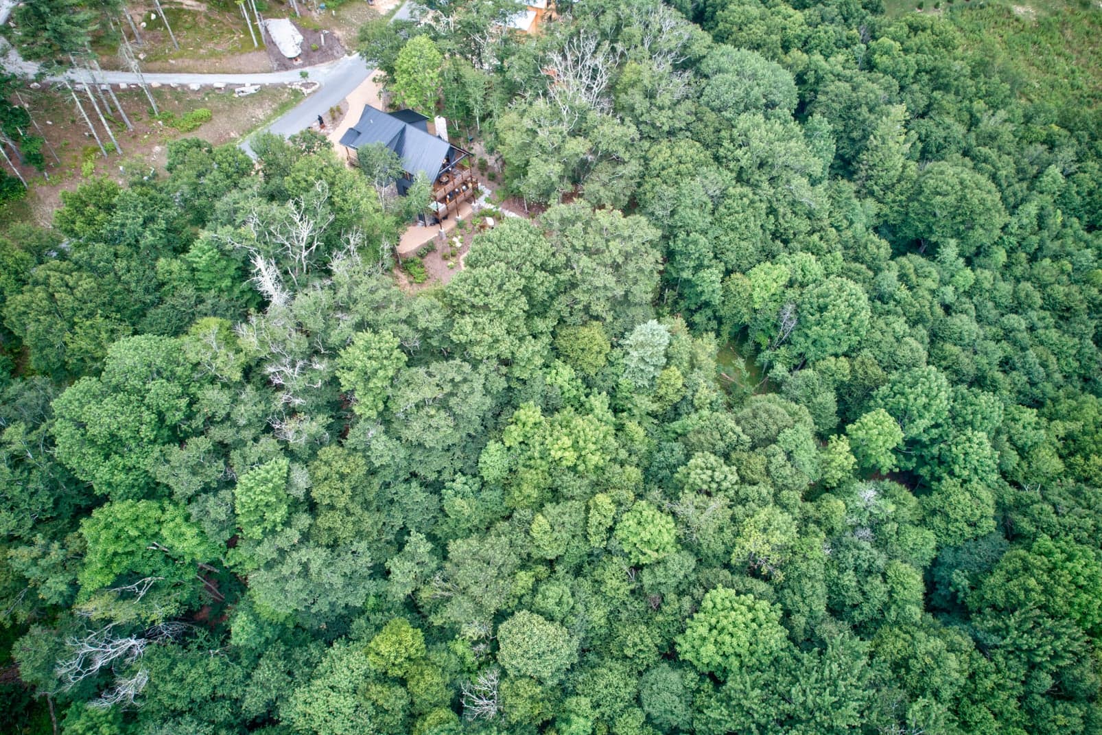 Guardian Bear Lodge - Image 3