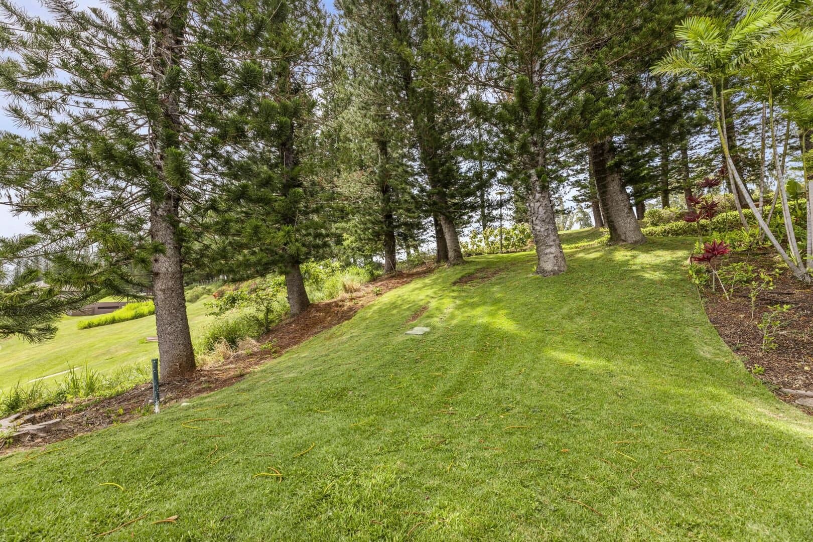 Kapalua Golf Villas 11P5-8 - Image 71