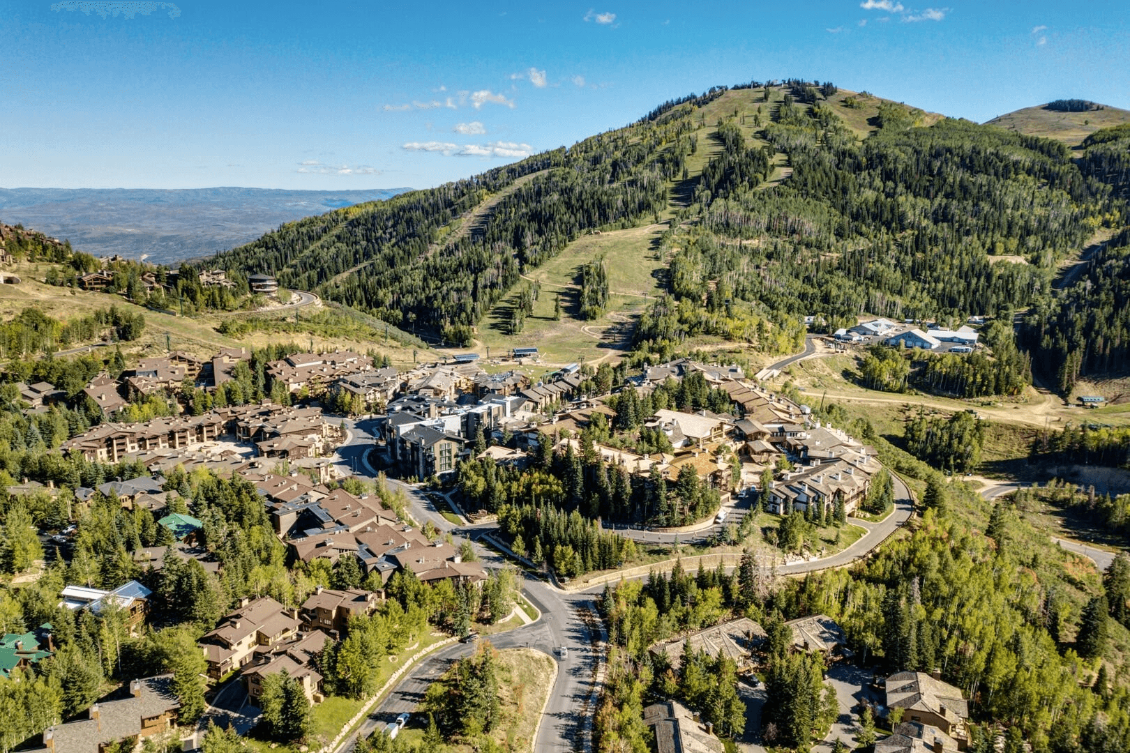 Bear Home - Image 25