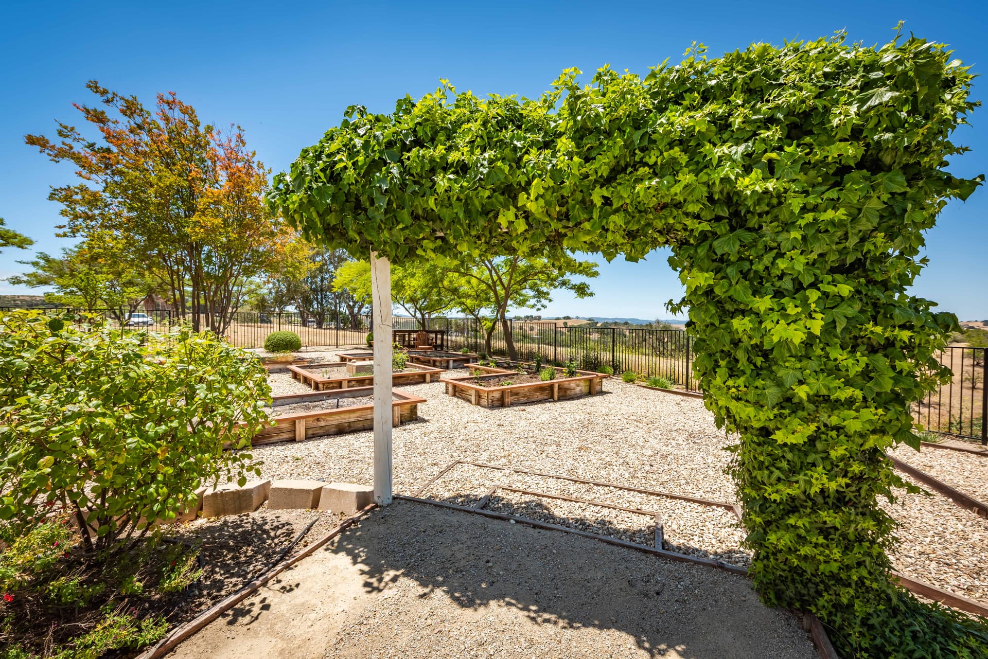 Hilltop Oasis Place - Image 50