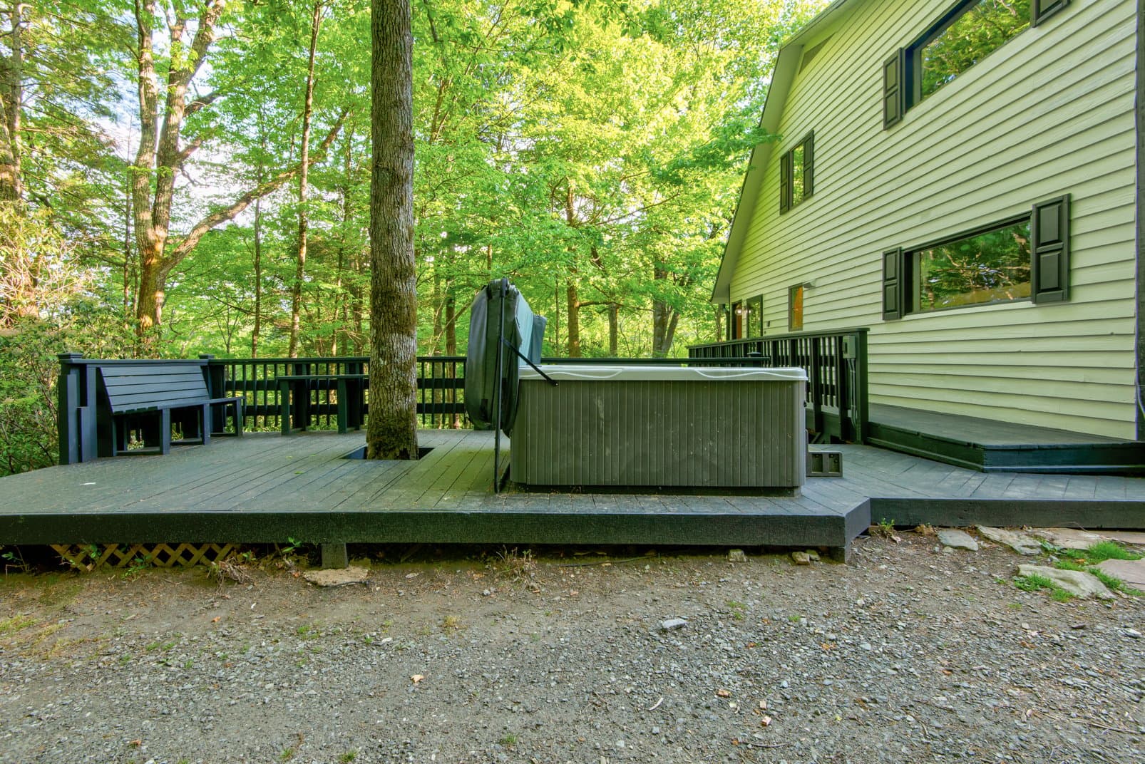 Paws a While - Image 47