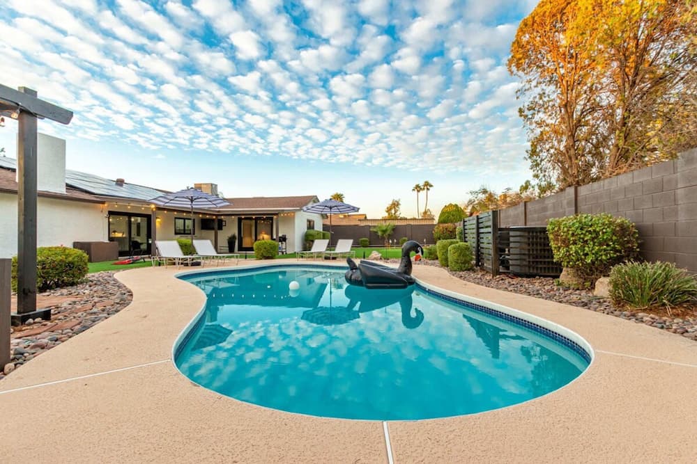 Ace Experience - Image 2