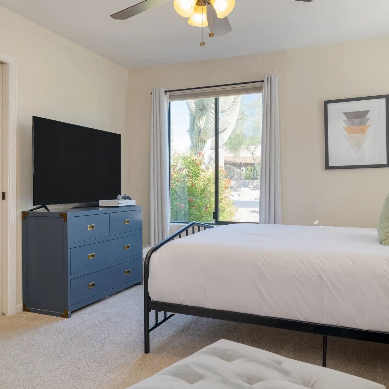 Sonoran Sunshine - Image 22