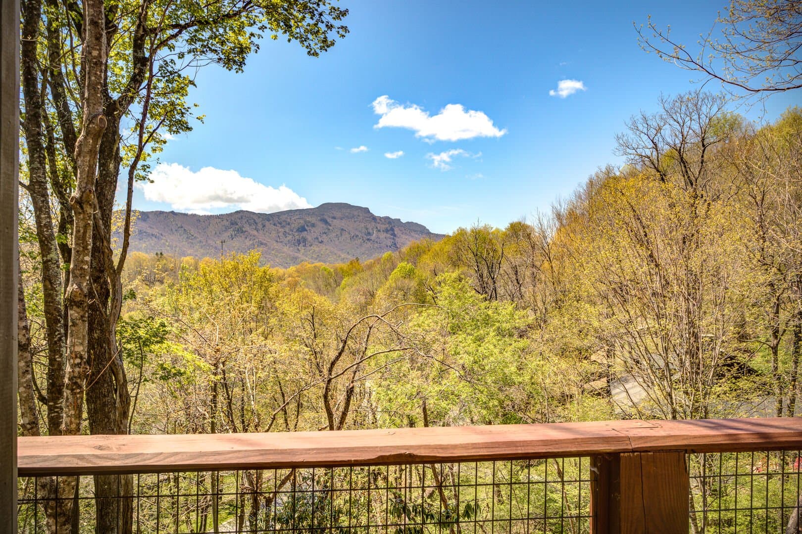 S'more to Love - Image 3