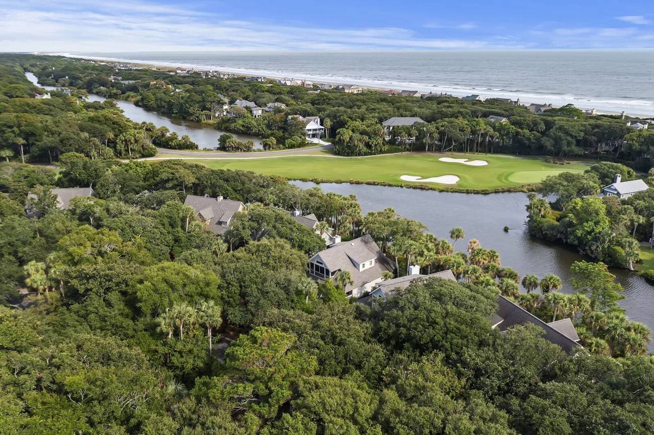 Silver Moss - Image 48